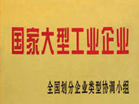 國家大型工業(yè)企業(yè)